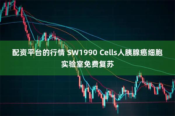 配资平台的行情 SW1990 Cells人胰腺癌细胞实验室免费复苏